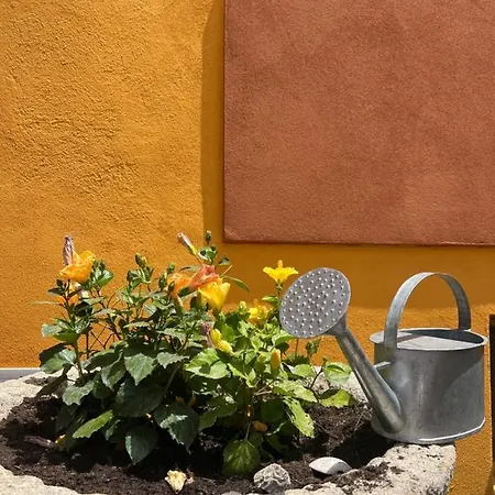 Casa Fanni- בית הארחה