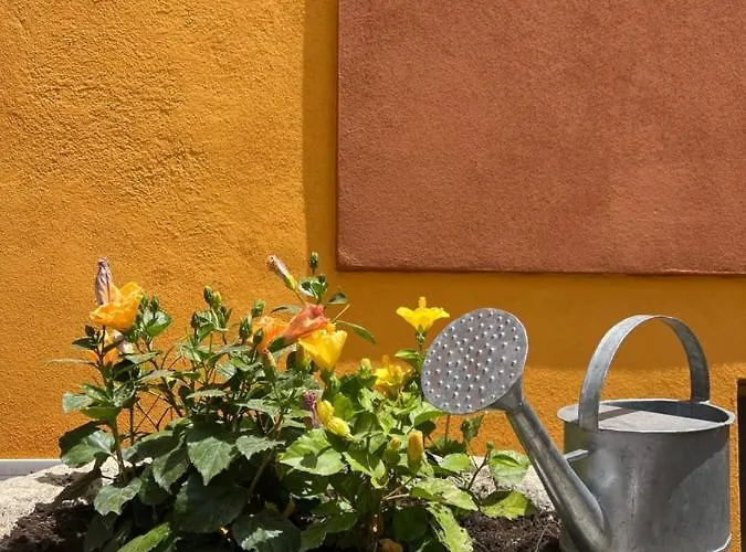 Casa Fanni- Guest house